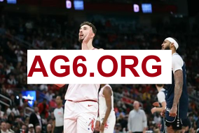 雷速体育比分网